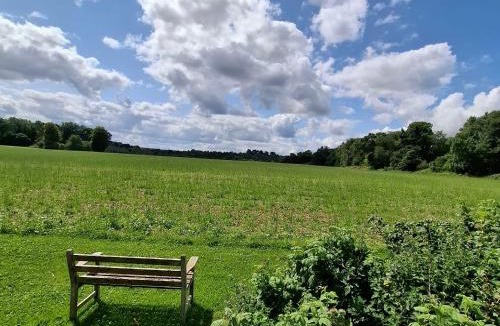 Woolhamton Apartment | Luxury Shepherd's Hut - The Hyde