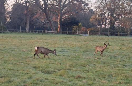 Wickham House | Luxury Shepherds Hut set in a countryside setting