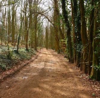 Stonehouse Other | Luxury Shepherds Hut