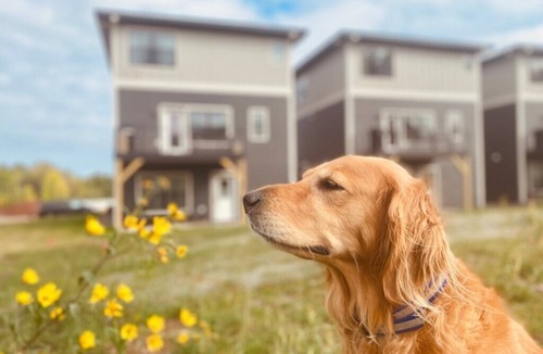 Riverside House | Luxury Ski Home | Sauna | Views | 20% Off Ski Pass
