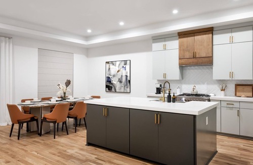 Cedar Crest House | Luxury Spacious 5B3B home 10 mins DT Dallas Bishop Arts World Cup Groups