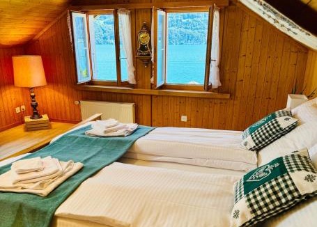 Niederried bei Interlaken Ski Chalet | Luxury Swiss Chalet | Spa AC Lake View Interlaken