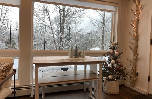 Arkville House | Luxury Tiny Home Ski Cabin with Barrel Sauna Room!