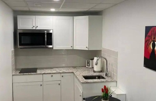 Fort Gary Apartment | Luxury two bedroom in a modern basement.