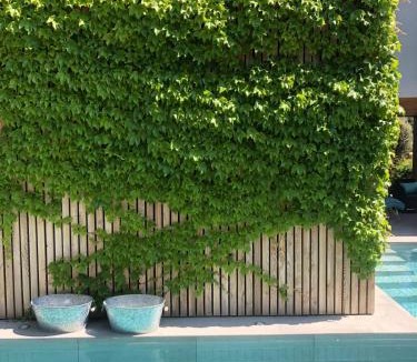 San Juan de Alicante Villa | Luxury Villa Beach & Golf