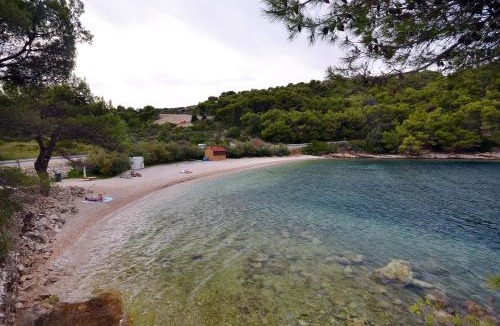 Dol Villa | Luxury villa with a swimming pool Skrip, Brac - 17350