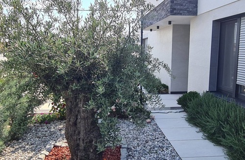 Skrbcici Villa | Luxury Villa with with open sea views and its own multi-purpose sports ground