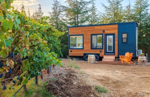 Ramona Cabin | Luxury Vineyard Escape w Fireplace - Syrah