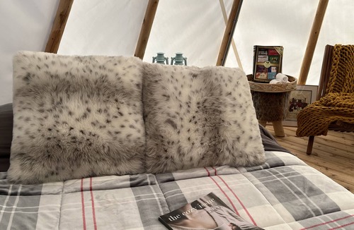 Nestleton Cabin | Luxury Winter Gateaway