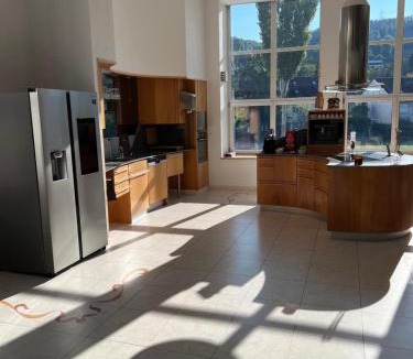 Rorbas Villa | Luxus-Loft Atrium -X-