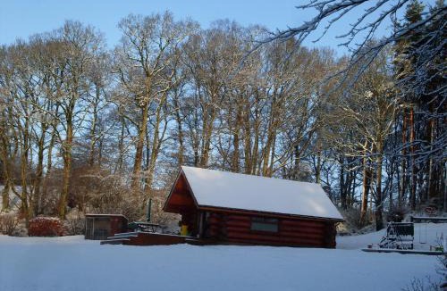 Wing Cabin | lyne view, log cabin