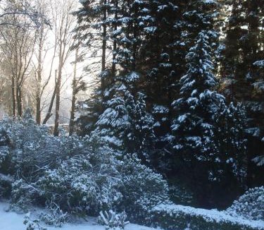 Wing Cabin | lyne view, log cabin