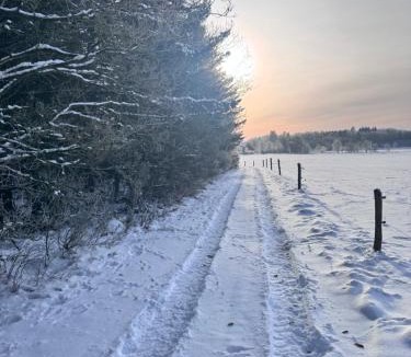 Herning Bed & Breakfast | Lysbjerggård Bed & Break Herning