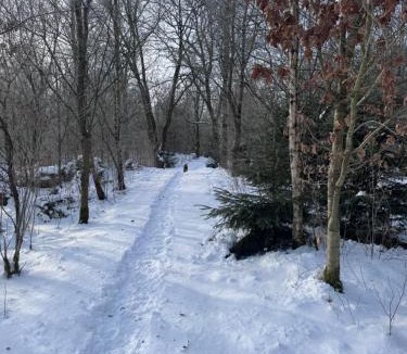 Herning Bed & Breakfast | Lysbjerggård Bed & Break Herning