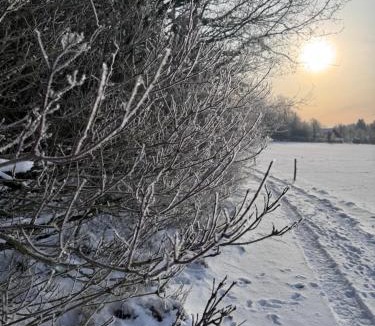 Herning Bed & Breakfast | Lysbjerggård Bed & Break Herning