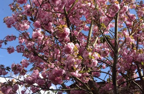 Faubourg de Bethune Apartment | M'amour