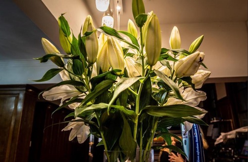 Sittingbourne House | M&B Haven - Sittingbourne