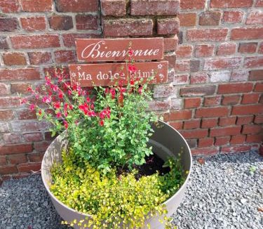 Remy House | Ma dolce Mimi