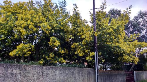 Le Chateau-d'Oleron House | Ma Maison