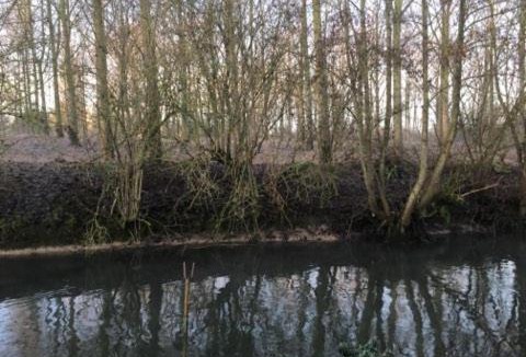 Anzin-Saint-Aubin Ski Chalet | Ma petite Bohème