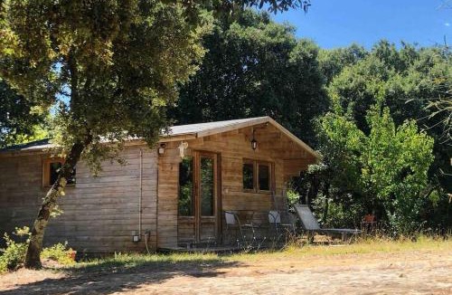 La Roque-sur-Ceze Ski Chalet | Ma petite cabane Gites des oliviers