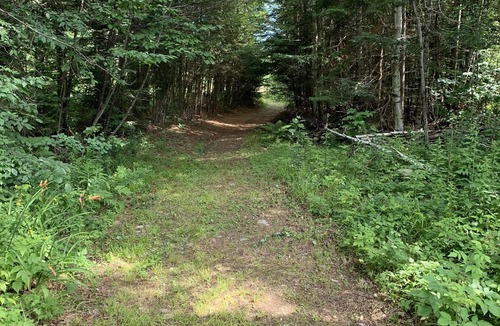 Stark House | MaaaBraaaapers