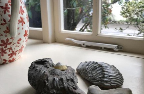 Sydling St Nicholas House | Mabel's Cottage