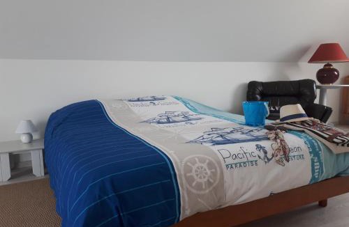 Binic Bed & Breakfast | macareux