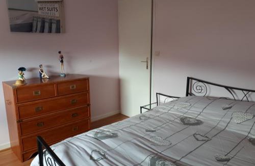 Binic Bed & Breakfast | macareux