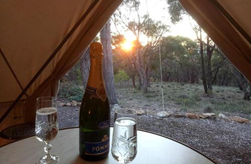New Gisborne Other | Macedon Ranges Glamping with kangaroos