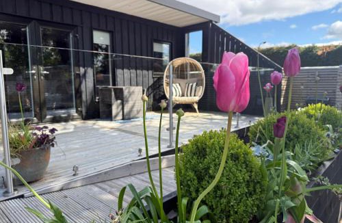 Alexandria Cabin | Mackie lodge