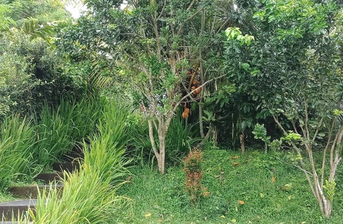 Buahan Villa | Madesimon Villa