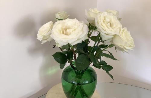 Killarney Vale Apartment | Maggie's Nest-Come & Rest