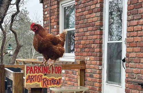 Coeymans Hollow Other | Magic Forest Farm's Artist Retreat