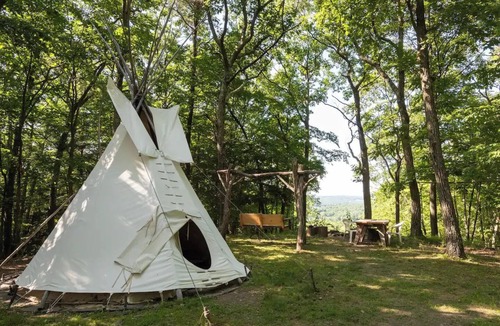 Coeymans Hollow Cabin | Magic Forest Farm Garden Tipi