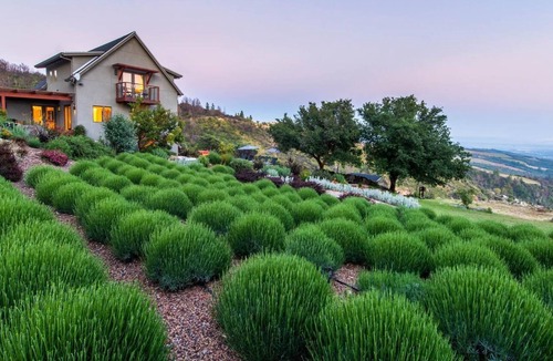 Glen Ellen Villa | Magical setting, panoramic view—Lavender Sky