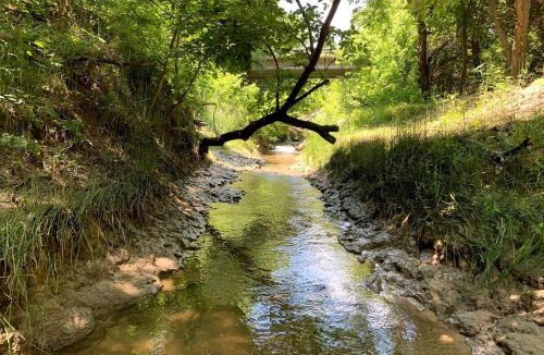 Rosston House | Magical Treehouse Retreat with Creek Views near Forestburg Forest in Forestburg, Texas
