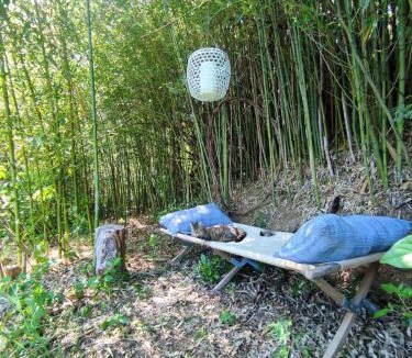 Joyeuse Villa | Magnanerie lovée dans la forêt, bordée par la rivière á 5 minutes du village