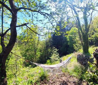 Joyeuse Villa | Magnanerie lovée dans la forêt, bordée par la rivière á 5 minutes du village