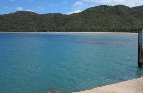 Arcadia House | Magnetic North Unit 3