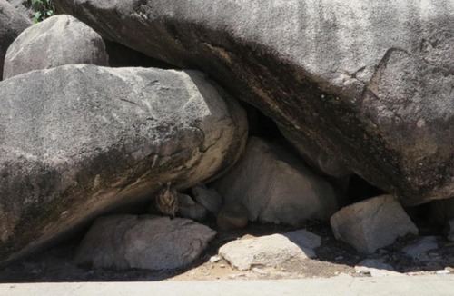 Arcadia House | Magnetic North Unit 3