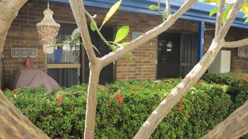 Arcadia Apartment | Magnetic Shores Unit 3