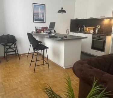 Downtown Geneva Apartment | Magnificent apartment, Geneva Center, Geneva Lake