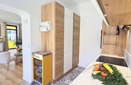 Carabacel Apartment | Magnificent duplex apartment on the top floor with elevator, a few steps from the Coulée Verte.