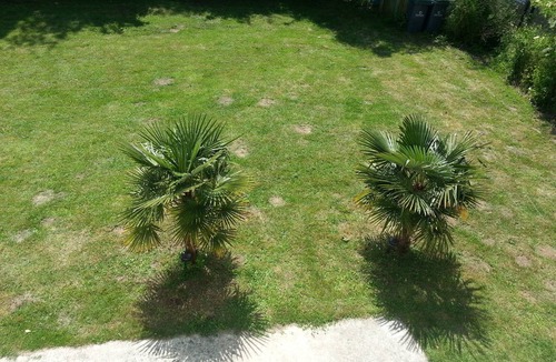 Hermanville-sur-Mer House | Magnificent apartment (80 m²) with 4 main rooms, 100 meters from the beach