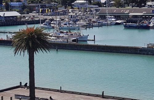 Gisborne Apartment | Magnificent Harbour Views 405