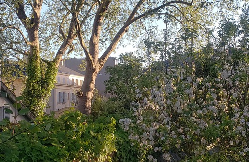 Saint-Louis House | Magnificent house with garden in Versailles - Paris