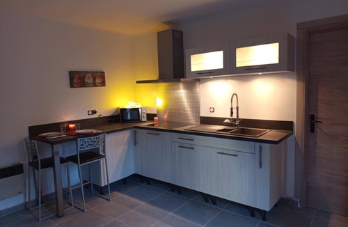 Chatillon-en-Michaille Apartment | Magnificent independent Studio