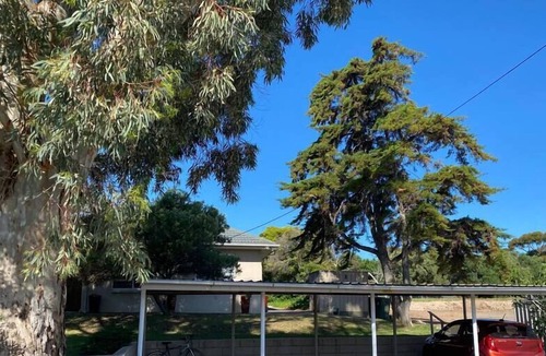 Marino Apartment | Magnificent Marino -2 Bdrm, Beach, Stylish, Modern