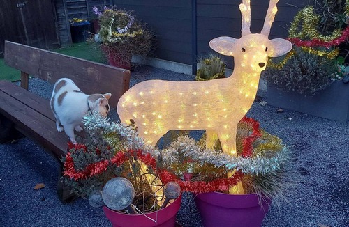 Mericourt Apartment | Magnificent studio adapted for reduced mobility